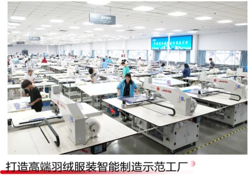 穿 爾濱 品牌逛爾濱 波司登 哈爾濱 產業基地啟動